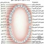 دکتر گلسا مددی در شیراز