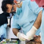 جراح دندانپزشک علیرضا رضایی