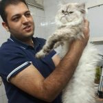 بیمارستان دامپزشکی روبان در تهران