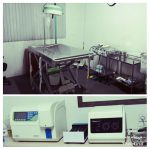 درمانگاه دامپزشکی پاندا در بندر انزلی