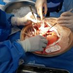 دکتر فرزاد کاکایی