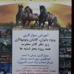 باشگاه سوارکاری تکتاز در بندرانزلی