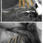 دکتر آرش ابراهیمی