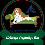 بیمارستان دامپزشکی شبانه روزی درین در تهران