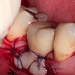 دکتر زهرا علیزاده طبری در تهران