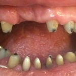 دکتر عبدالرضا محمدی در تهران