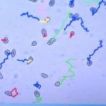 آزمایشگاه تشخیص طبی دکتر مهدوی در تهران