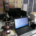 آزمایشگاه تشخیص طبی دکتر مهدوی در تهران