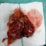 دکتر اسماعیل رزقی ملکی در اسلامشهر