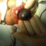 دکتر اسماعیل رزقی ملکی در اسلامشهر