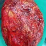 دکتر اسماعیل رزقی ملکی در اسلامشهر