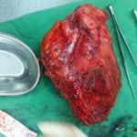 دکتر اسماعیل رزقی ملکی در اسلامشهر