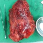 دکتر اسماعیل رزقی ملکی در اسلامشهر