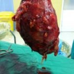 دکتر اسماعیل رزقی ملکی در اسلامشهر