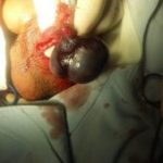 دکتر اسماعیل رزقی ملکی در اسلامشهر