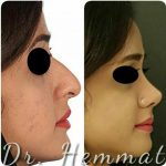 دکتر سیف اله همت در تهران