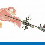 دکتر روزا امیرپور در اهواز