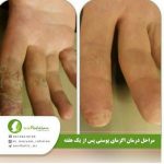 دکتر مریم رفیعیان در اصفهان