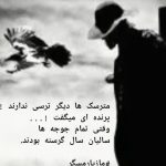 دکتر مازیار مسگر در مازندران