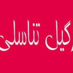 دکتر علی نجف آبادی در شیراز