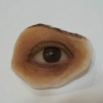 دکتر علیرضا خاقانی در تهران