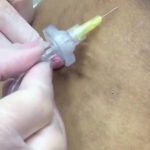 دکتر سیده فاطمه علوی لنگرودی در تهران