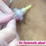 دکتر سیده فاطمه علوی لنگرودی در تهران