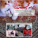 ترمه خجسته در یزد