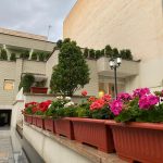 دکتر سکینه ابراهیمی در تهران