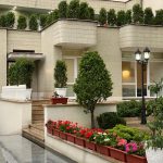 دکتر سکینه ابراهیمی در تهران