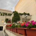 دکتر سکینه ابراهیمی در تهران