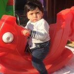 مهد زرافشان در مشهد