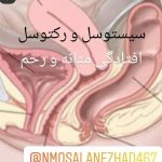 متخصص زنان و زایمان دکتر نجمه السادات مصلی نژاد در جهرم