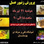 آموزشگاه فنی و حرفه ای بوستان رشت