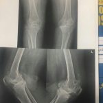 دکتر حسین لطفی در تربت حیدریه