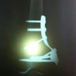 دکتر حسین لطفی در تربت حیدریه