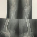 دکتر حسین لطفی در تربت حیدریه