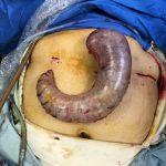 دکتر محمدرضا فرهمند در تهران