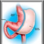 دکتر محمدرضا فرهمند در تهران