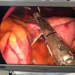 دکتر محمدرضا فرهمند در تهران