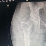 دکتر رامین استوار در قزوین