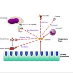 دکتر بابک باختر بازویی محکم در درمان کووید 19
