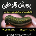 آموزشگاه فنی و حرفه ای بوستان رشت