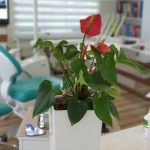 دکتر فاطمه رضایی در کرمانشاه