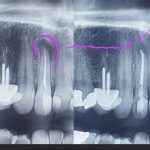 دکتر فاطمه رضایی در کرمانشاه