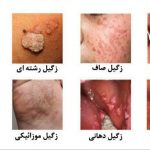 دکتر علی نجف آبادی در شیراز