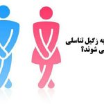 دکتر علی نجف آبادی در شیراز