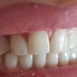 دکتر محمد علی عالمی در مشهد