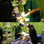 دکتر آرش غفارزاده در بروجرد