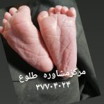 مرکز مشاوره مامایی طلوع در قم